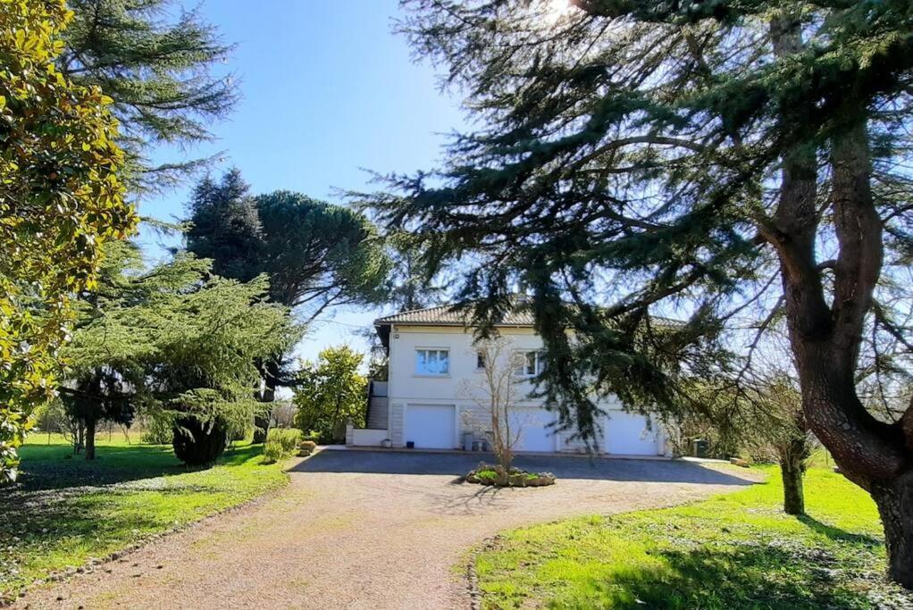 La Maison De Lili Colayrac-Saint-Cirq Esterno foto