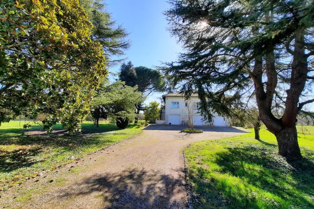 La Maison De Lili Colayrac-Saint-Cirq Esterno foto