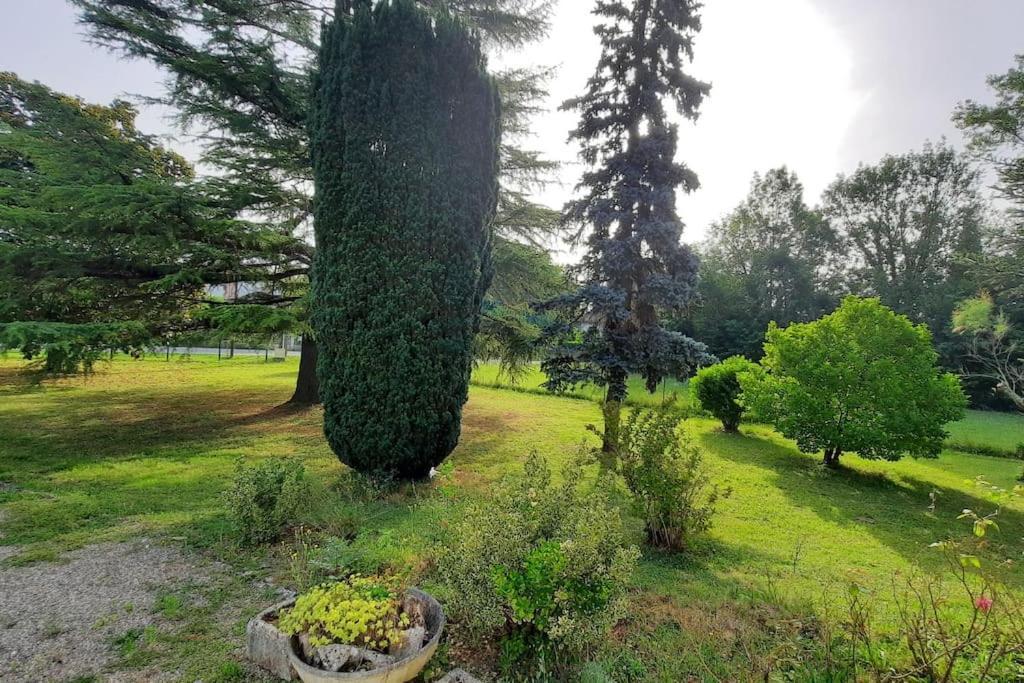 La Maison De Lili Colayrac-Saint-Cirq Esterno foto