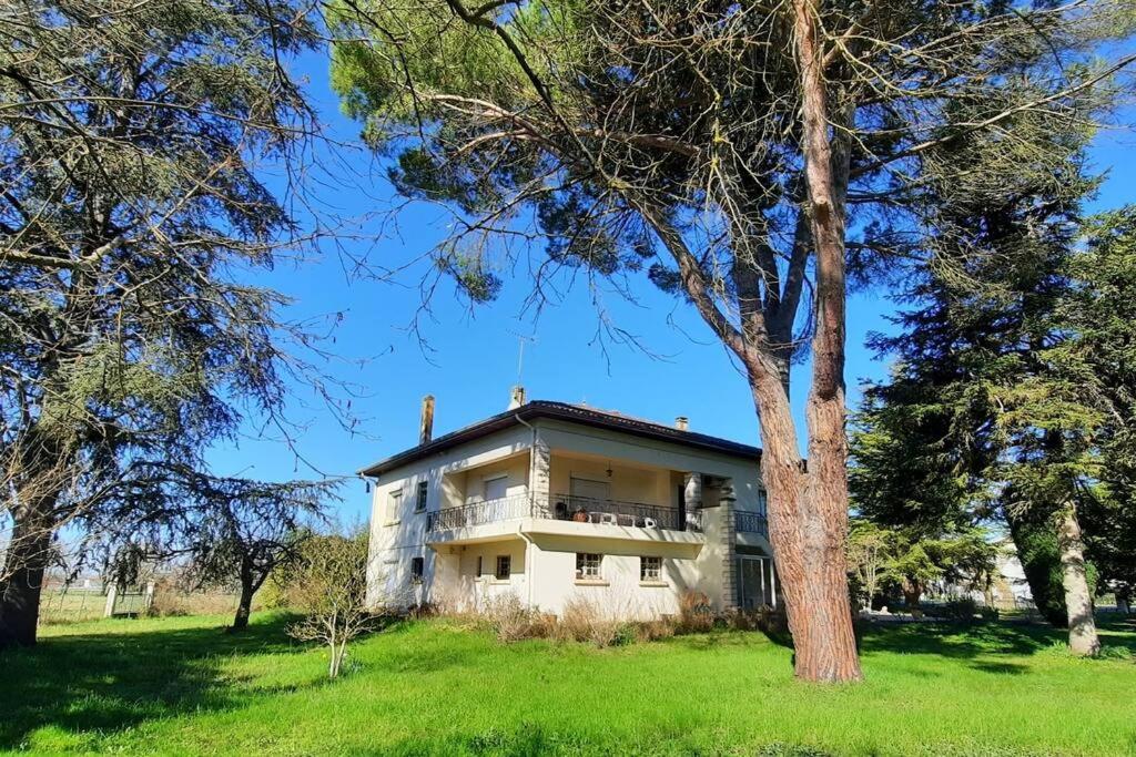 La Maison De Lili Colayrac-Saint-Cirq Esterno foto