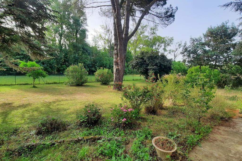La Maison De Lili Colayrac-Saint-Cirq Esterno foto