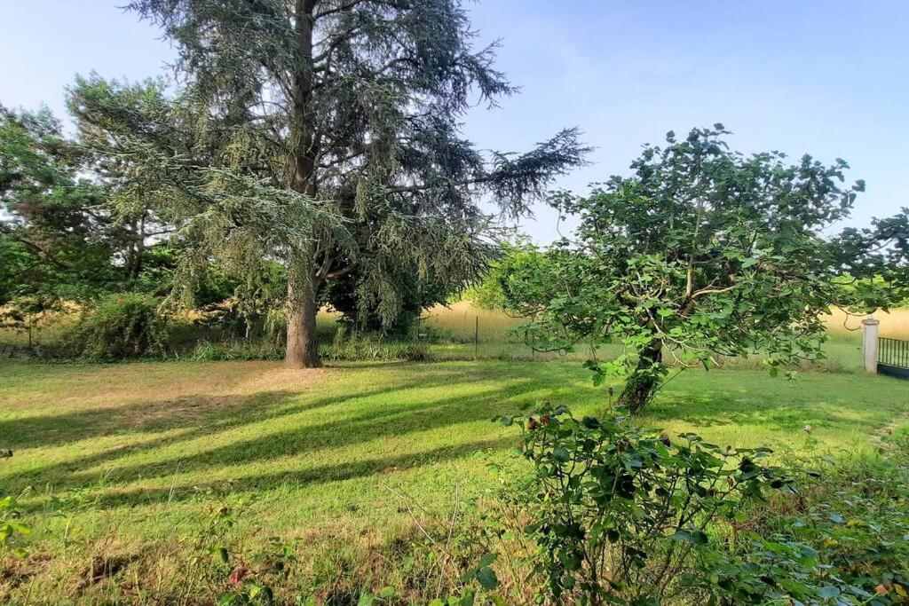 La Maison De Lili Colayrac-Saint-Cirq Esterno foto