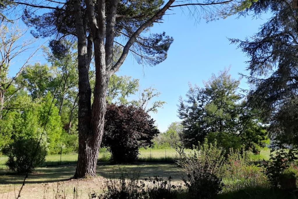 La Maison De Lili Colayrac-Saint-Cirq Esterno foto